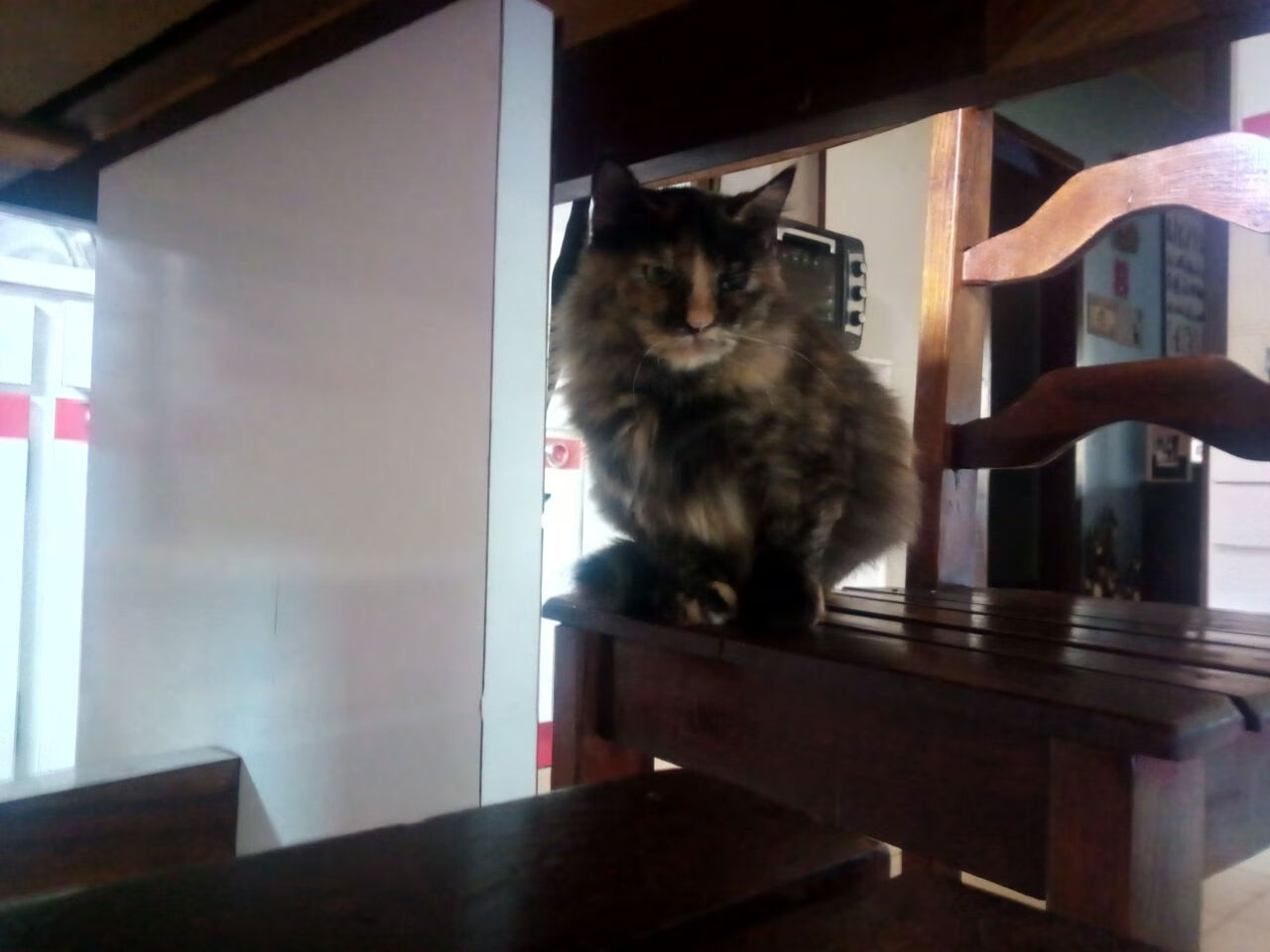 平行世界里的共同公式,当公牛的风吹过江苏,欧文的火点燃篮筐