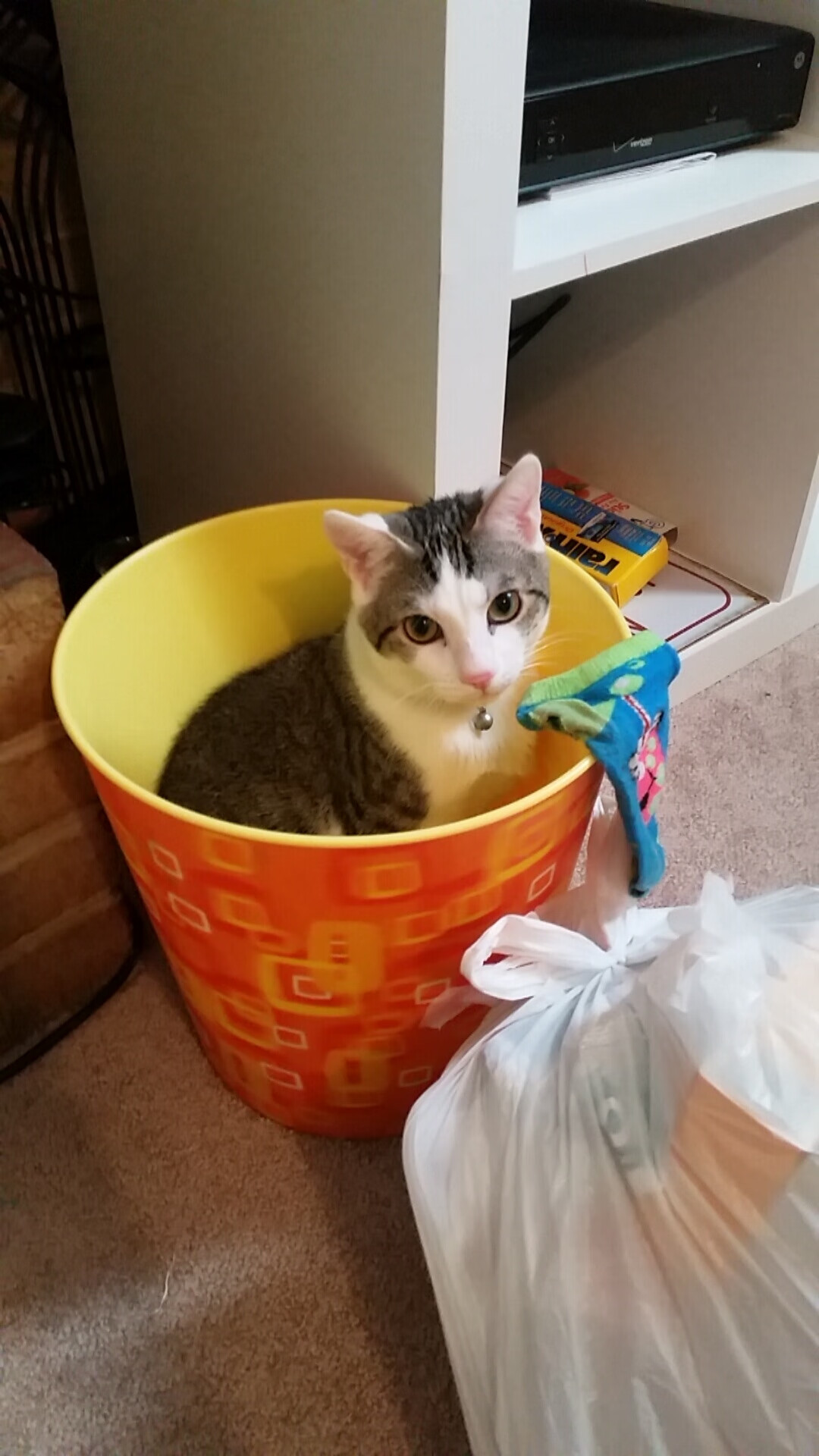 铁骑踏雪，银月逢炎阳，法拉利绝境翻盘，周冠宇点燃赛场