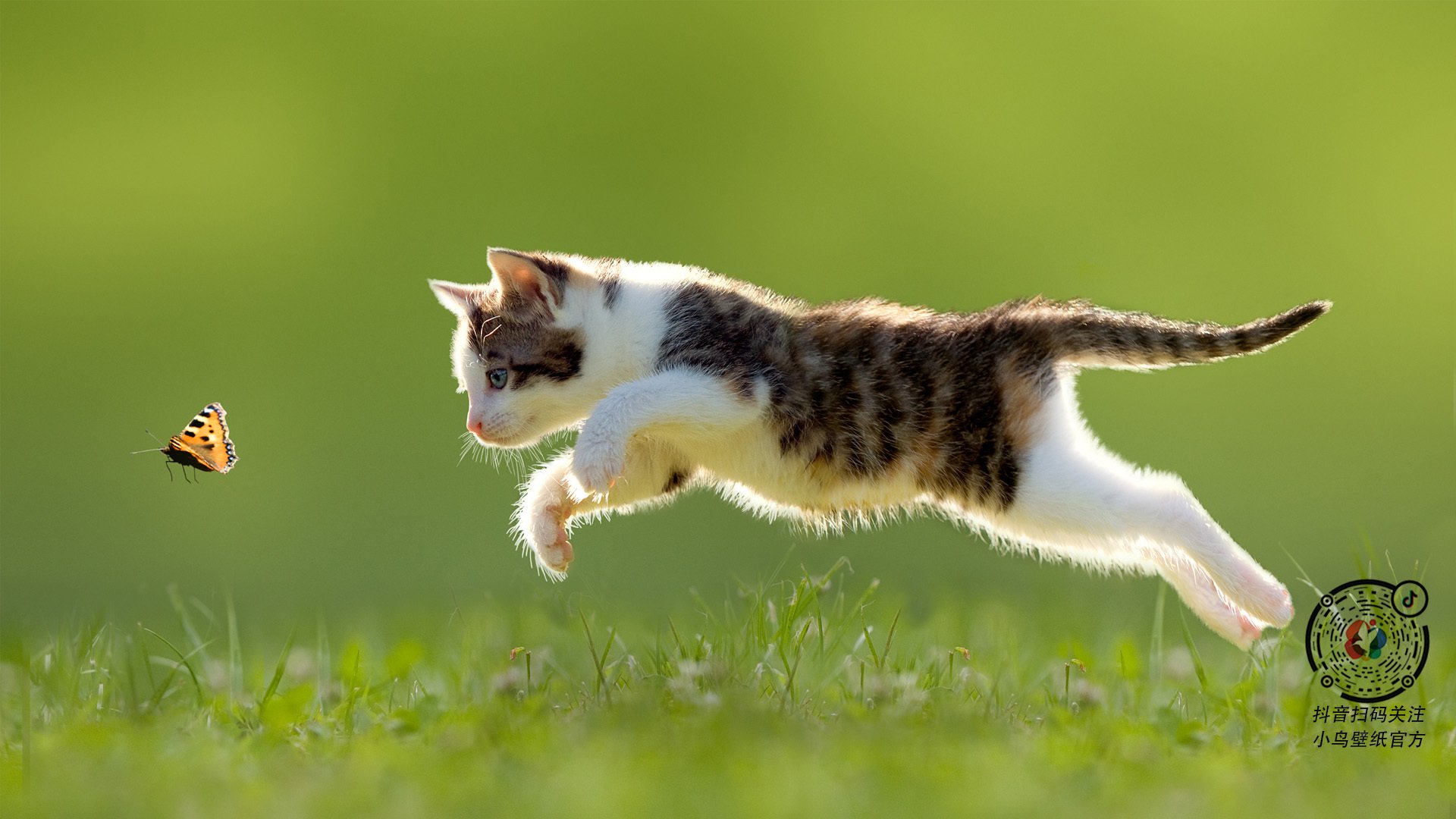 爱游戏在线-狙击手的意志力，欧冠决战夜的利拉德时刻