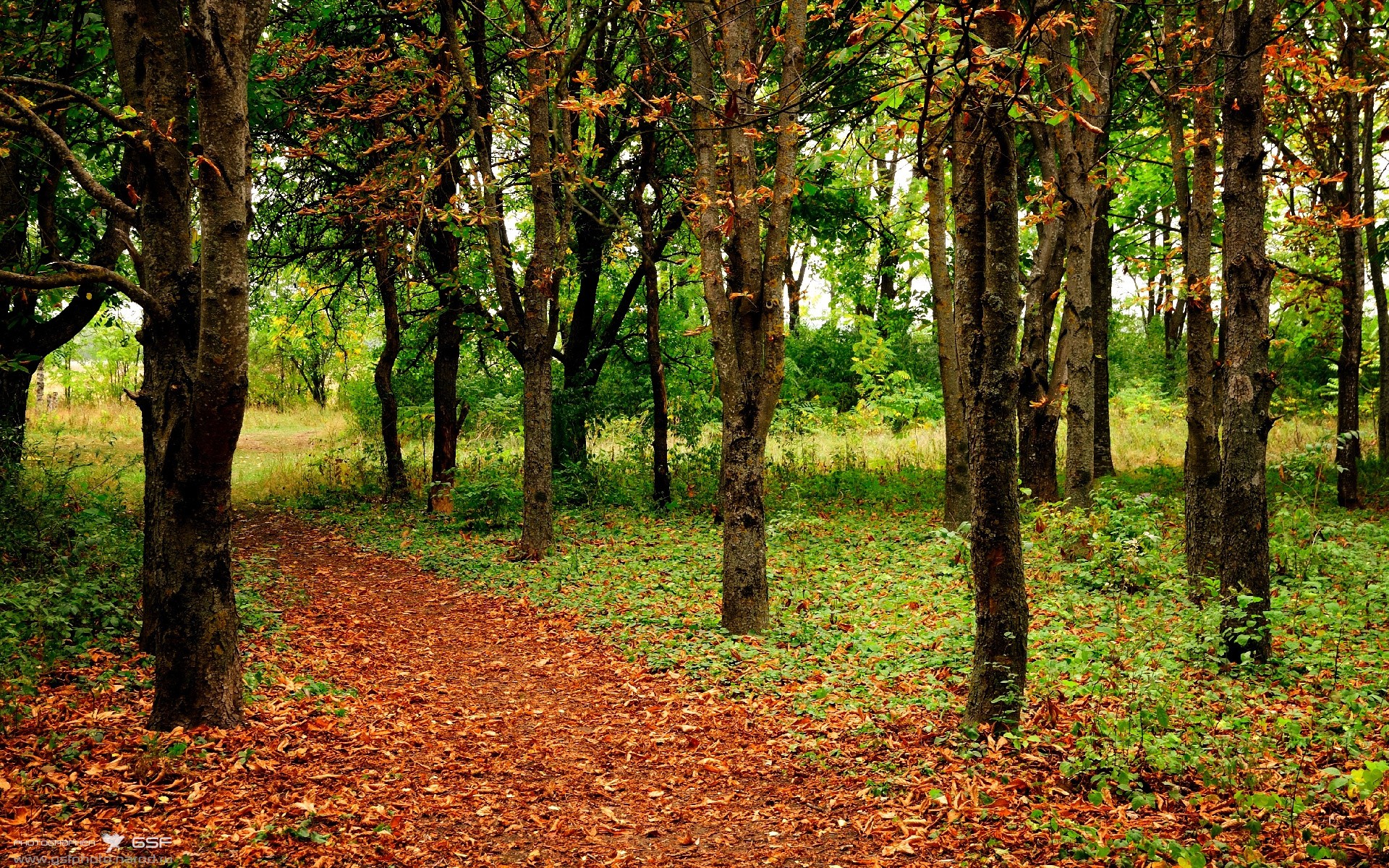 隐秘的连线，卡瓦哈尔如何将荷兰的右路风暴，扭转为巴萨的制胜利刃