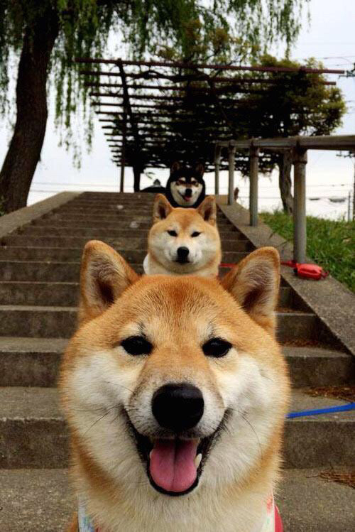 无名的斗士，唯一的英雄，加克波如何扛起一支沉睡的巨人