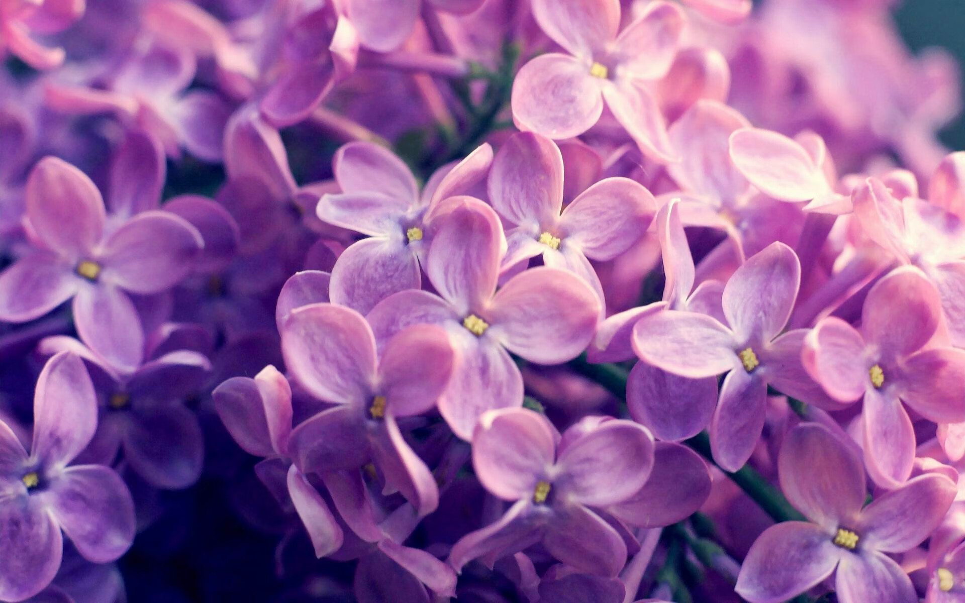 德甲争冠战之夜，切特魔术手带动全队节奏的哲学密码