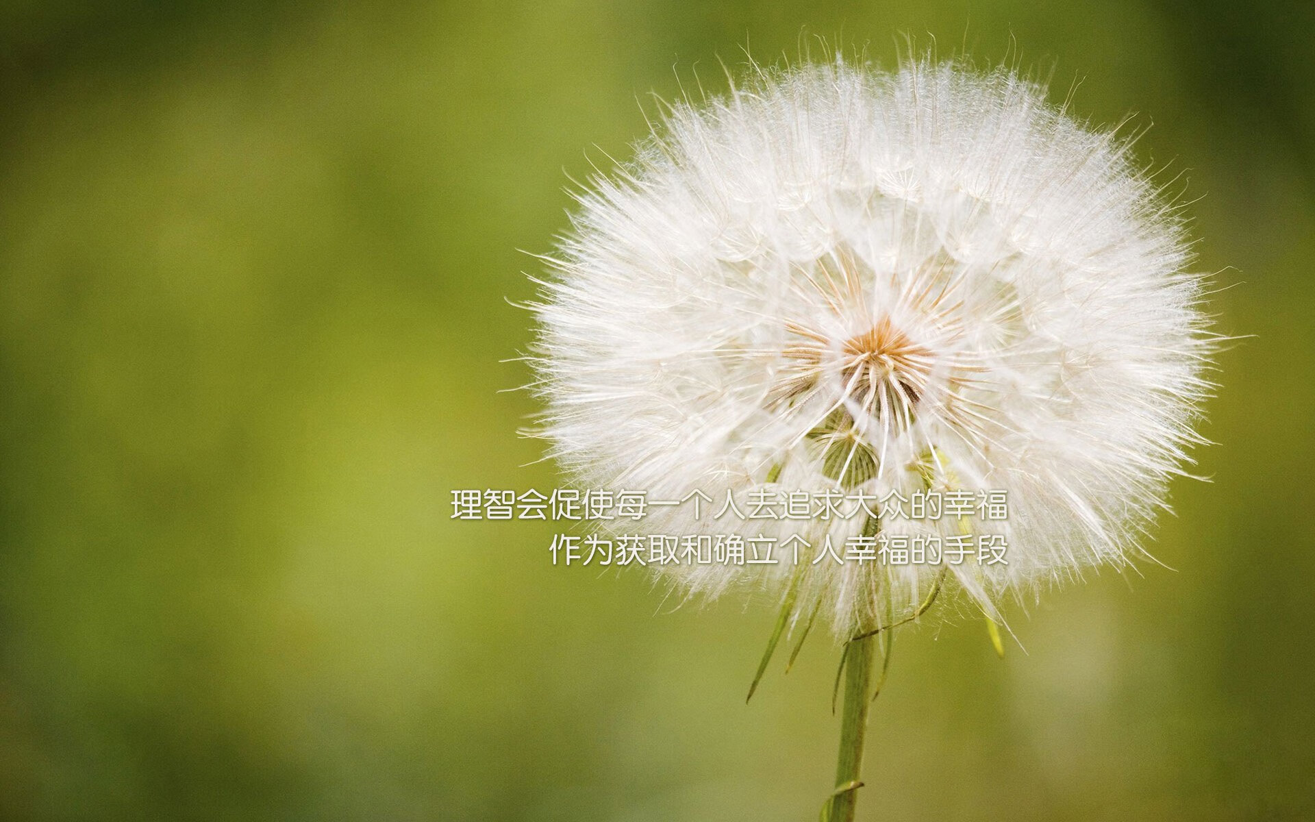 从戈贝尔到新疆队，被低估者的逆袭叙事