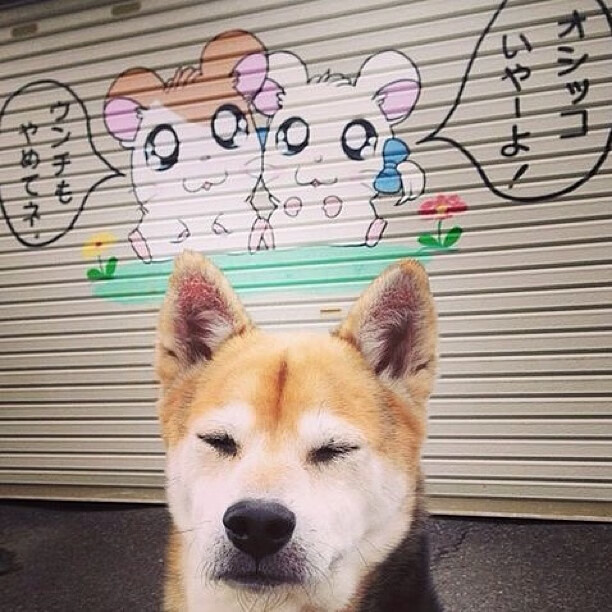 爱游戏下载-当东契奇化身主厨，尼克斯对阵吉林队的风味对决