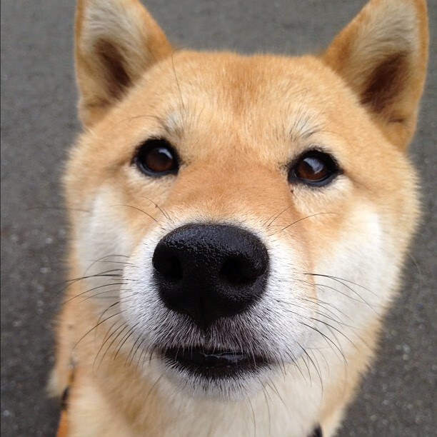 爱游戏娱乐-失重的高原与热带雨林的对决，佩德里的重力魔法