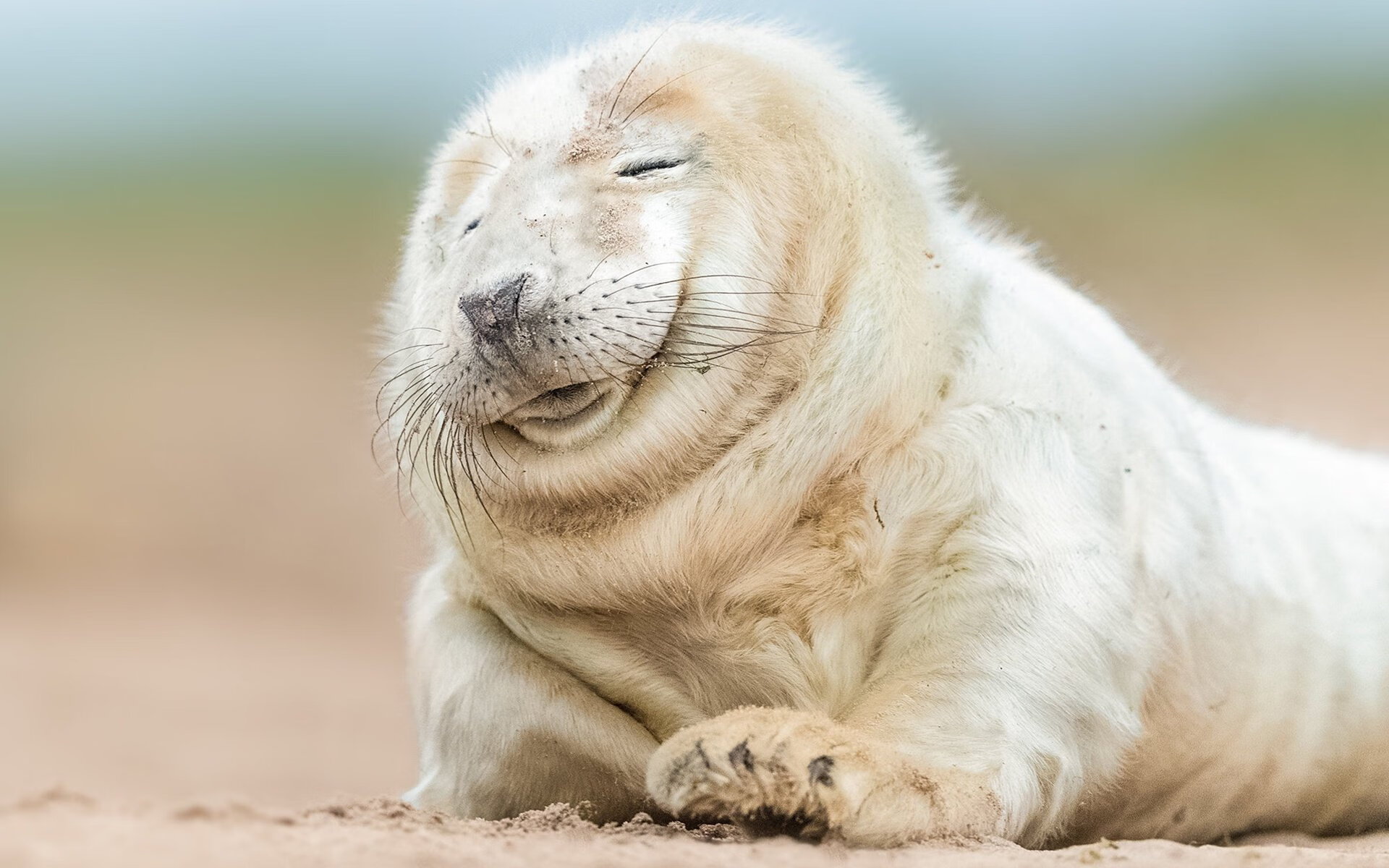 爱游戏APP-铁索横江，戈麦斯用一场经典防守，为亚特兰大锁死塞内加尔的艺术