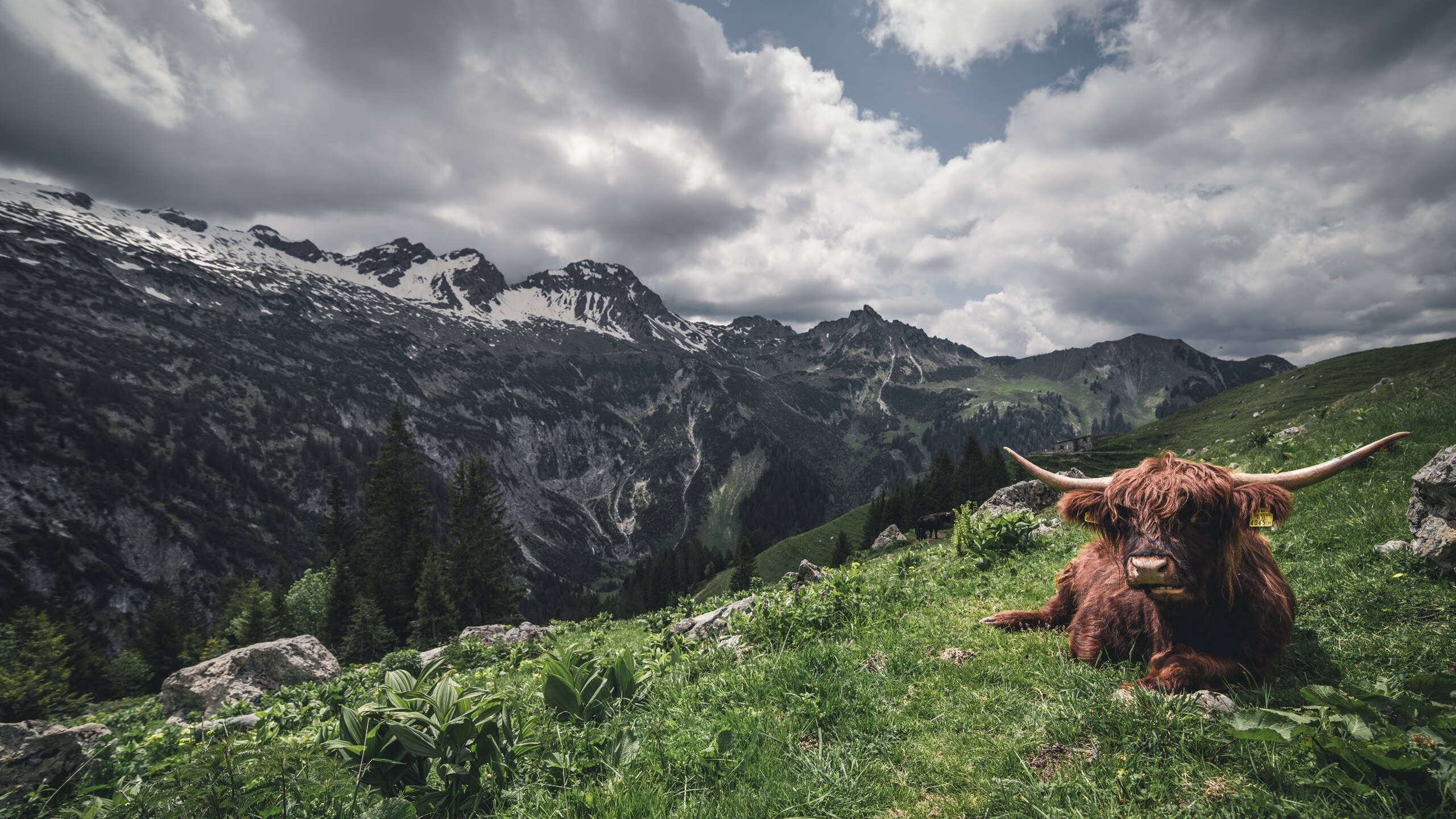 当黄土高原遇见费城之光，一场虚构对决中欧文的影子战争