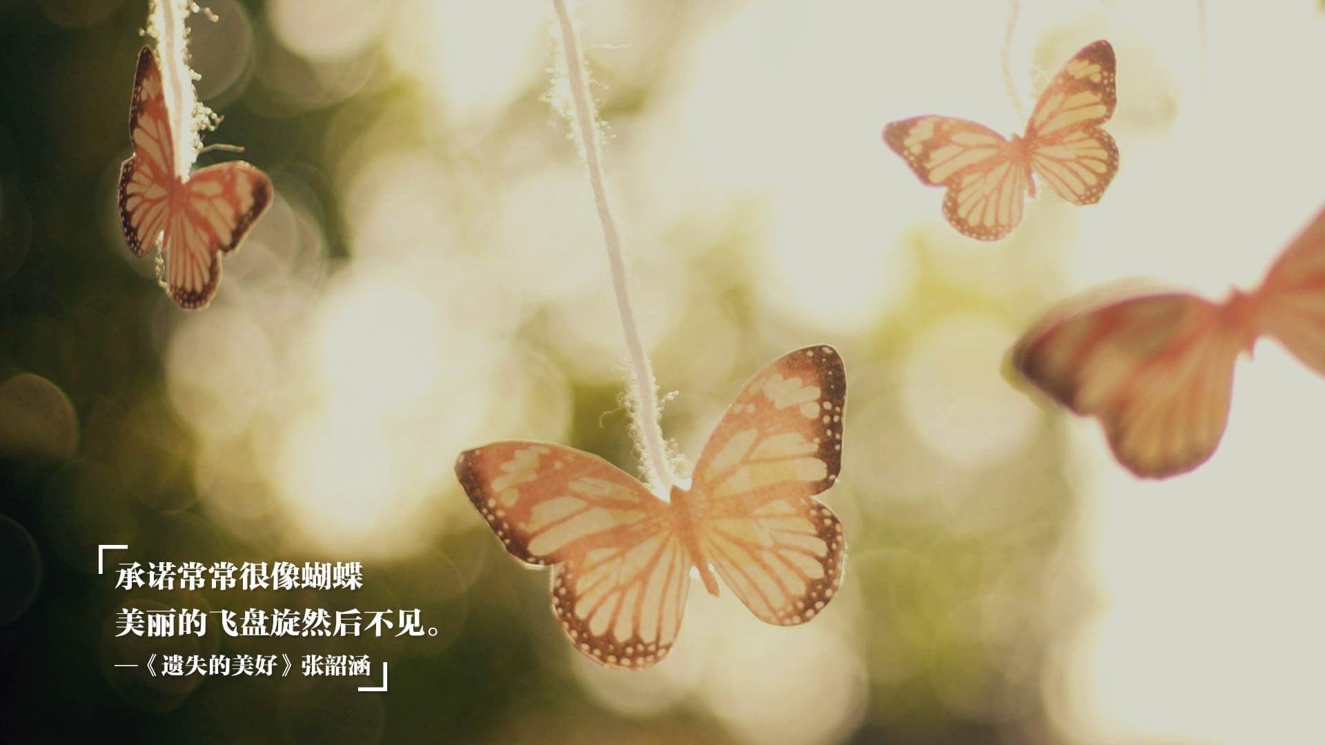 小国风暴与个人英雄，从爱尔兰外交到卡拉斯科的逆袭叙事