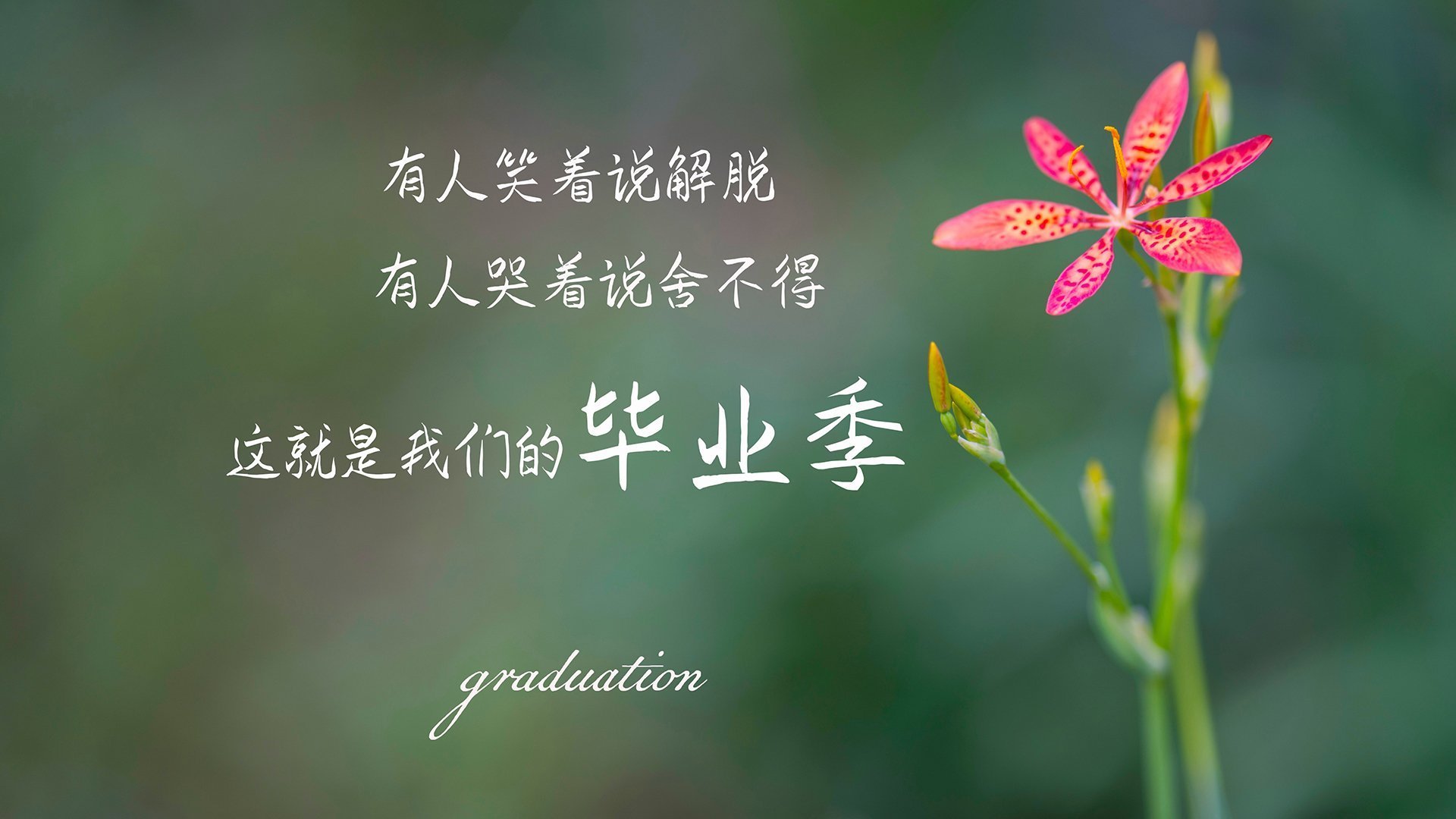 唯一性,那场改变宿命的致命一击