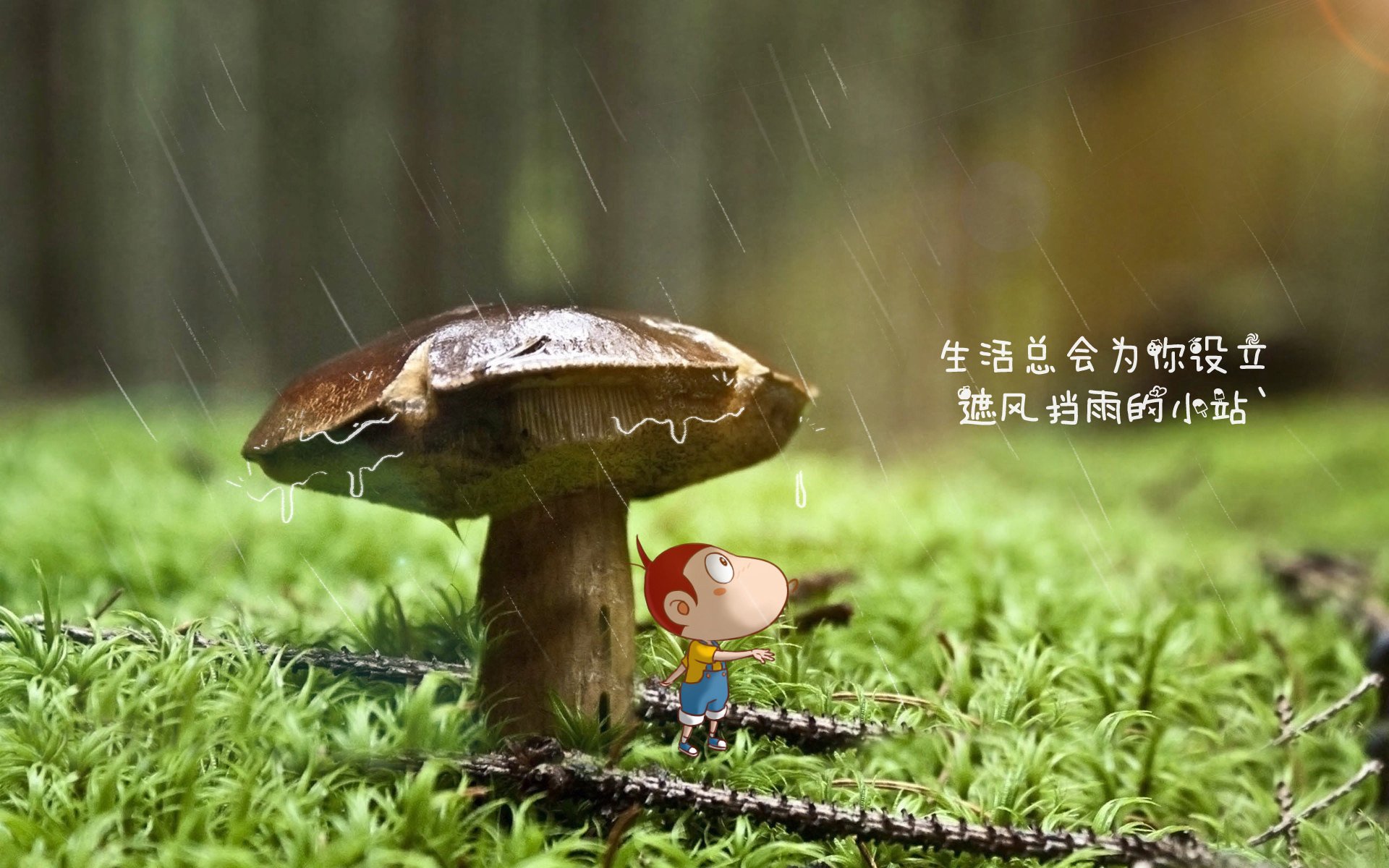 沙漠风暴席卷温布利,沙特铁骑掀翻三狮军团,巴雷拉一战封神
