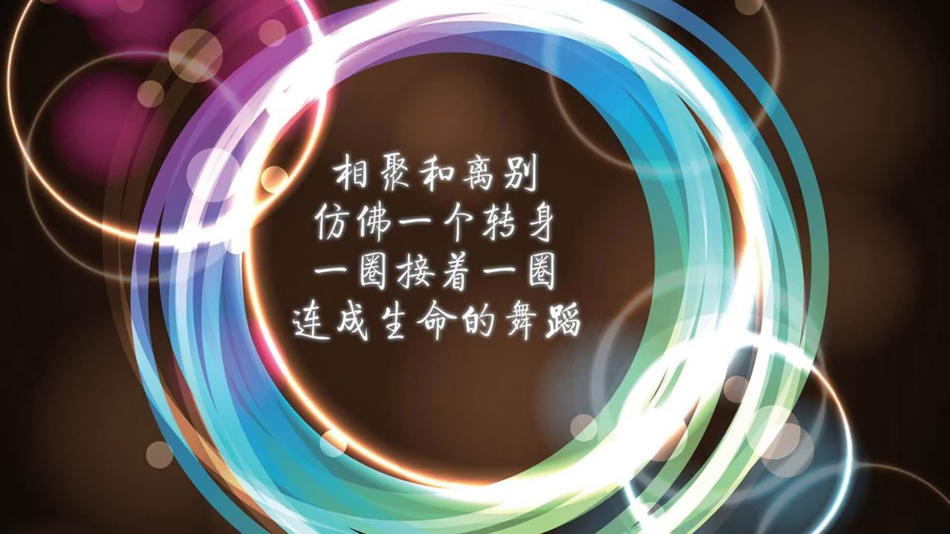 孤星闪耀，布罗佐维奇与门神共铸2026世界杯出线战唯一剧本